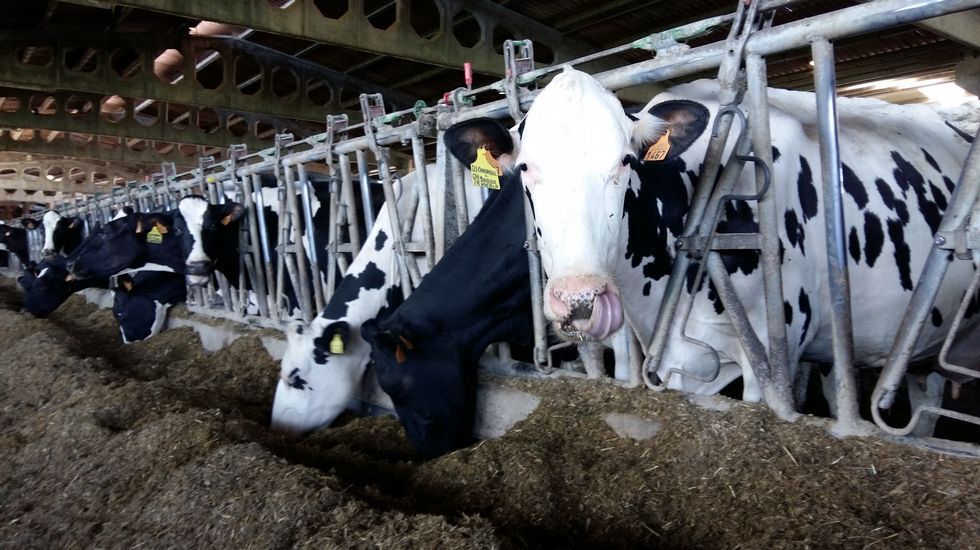 Cártel De La Leche. No Confundir Multa Con Indemnización.