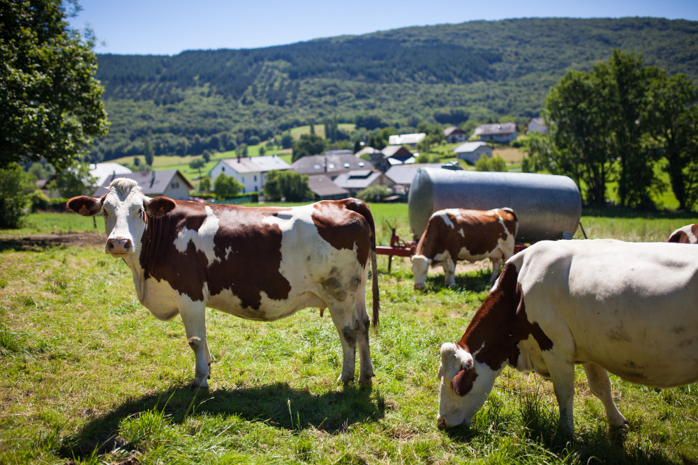Cártel De La Leche. El 2026 Pistoletazo De Salida De Las Demandas.